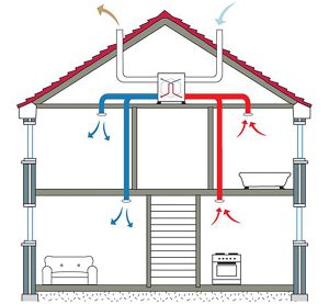 House_branched_system_resized__2